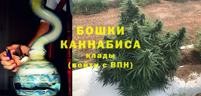 Наркотические вещества Покачи Галлюциногенные грибы  Cocaine  APVP  МЕФ  Канабис 